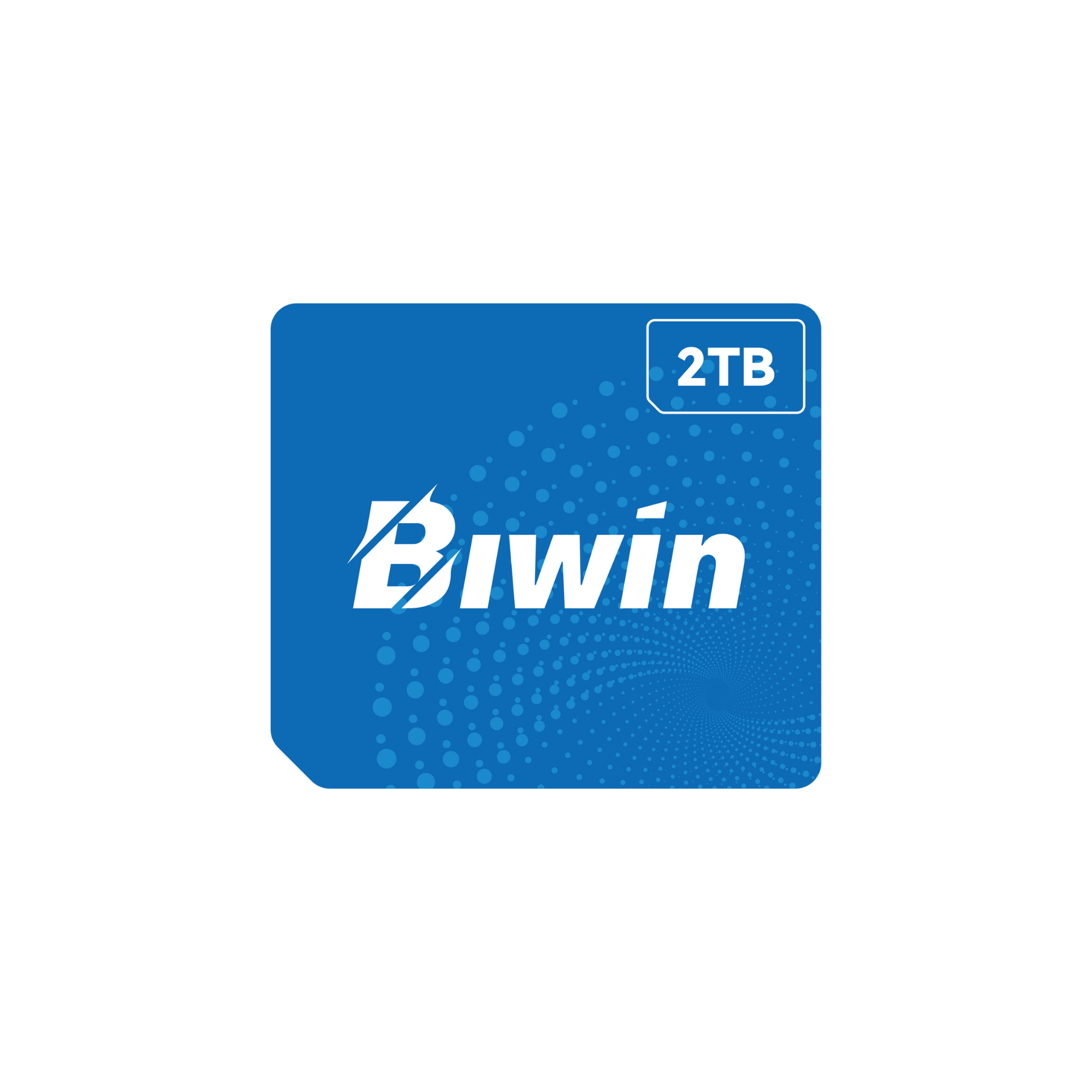 Biwin CL100 Mini SSD